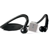 MOTOROKR S9HD Bluetooth stereo headphone and D650 iPod Bluetooth Adapter