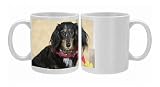 Dog - long-haired Dachshund / Teckel wearing scarf Photo Mugs