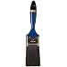 Weiler 2" Width, 9/16" Thickness, 2-1/2" Bristle Length, Black China Bristles, Nickel Ferrule, Professional Varnish Brush With Blue Foam Handle