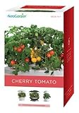 Outdoor Living : AeroGarden 6-Pod Seed Kit Cherry Tomato