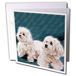image link - - B000VGA7N8