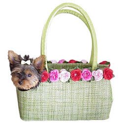 Lulu Jane A Pocket Full of Puppies Pet Carrier