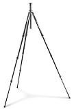 Gitzo GT2941L Series 2 G-Lock Basalt Tripod