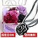 �y5/8�����w��z��ɑ���M�t�g�Z�b�g2009�@�͂�Ȃ����@�̂��Ԃƃo���̃A�N�Z�T���[�Z�b�g�@�p�[�v���n�[�g�i�v���U�[�u�h�t�����[�j�y��̓��M�t�g�z�y�k�C���E�l���E��B�ɂ��͂������R�P�T�~�z