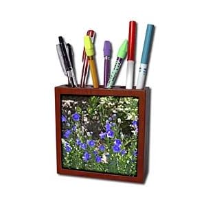 WhiteOak Photography Floral Prints - Beautiful little blue flowers - Tile Pen Holders-5 inch tile pen holder