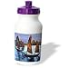 Taiche Acrylic Art - Boats Chinese Junks - Water Bottles