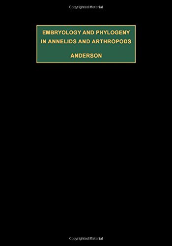 Embryology and Phylogeny in Annelids and Arthropods (International series of monographs in pure and applied biology. Division: zoology)