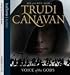 Voice of the Gods (Age of the Five, #3)