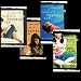 Just Ask / Meant to Be / Falling Up / That Was Then - 4 Books (Diary of a Teenage Girl - Kim, 1-4)