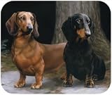 Dachshund In Path Dog Puppy Mouse Pad MousePad
