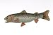 10" Rainbow Trout Fish Plush Stuffed Animal Toy