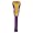 Louisiana State Tigers