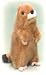 BLACK TAILED PRAIRIE DOG by Platte River Trading