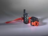 Sport Upland G3
