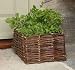 Home Allotment Herb Planter - Natrual Willow Surround Image of Home Allotment Herb Planter - Natrual Willow Surround