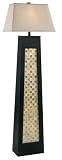 Hunter Lighting 20001ORB Oil Rubbed Bronze with Shell Accents Capri Contemporary / Modern Floor Lamp from the Capri Collection