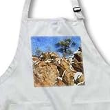 Colorado Mountains Rocky Pine - Waist Apron With Pockets