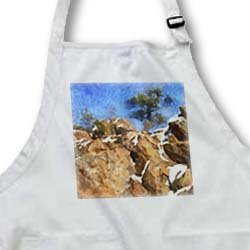 Colorado Mountains Rocky Pine - Waist Apron With Pockets