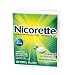 Nicorette FRESH MINT Gum 100 Pieces 2mg