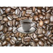 Magnolia Coffee Blend 2 oz by Stockton Graham & Co.