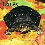 Turtles 2010 Wall Calendar