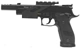 Sig Sauer P226 X-5 Blowback Pistol
