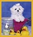 maltese18  - Maltese Puppy Bookmark