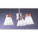 ���b�L�[ �V�����f���A LC-29212