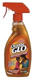 Church & Dwight #11897 16OZ Orange Glo Wood Cleaner