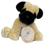 Shining Stars Pug