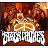 Abbildung von Black Crowes
