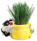 Chia Cat Grass Planter