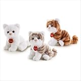 Brad Kitten Stuffed Animal Color: White/Grey