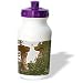 Sandy Mertens Wisconsin - Vintage 1899 Wisconsin Dells Stand Rock - Water Bottles