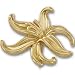 Jewelry : 14K Yellow Gold Metal Fashion Brooch