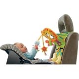 Taf Toys Infant Car Toy