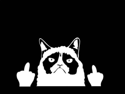 Grumpy Angry Cat Flipping Finger DOUBLE Bird decal Sticker for Car Truck SUV