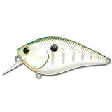 ��å�������ե�USA �Х��ץ�����åץ� ��å� ����� ����󥯥٥��� 409 PEARL GREEN SHAD RC2.5