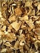 Oyster Mushrooms