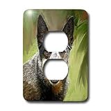 Dogs Australian Cattle - Australian Cattle Dog - Light Switch Covers - 2 plug outlet cover