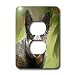 Dogs Australian Cattle - Australian Cattle Dog - Light Switch Covers - 2 plug outlet cover