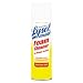 Lysol Professional Disinfectant/Deodorizer Foam Cleaner, 24 Ounce Can RCK02775