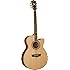 Washburn Heritage Series WG10SCE Acoustic-Electric Guitar, Natural