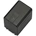 Panasonic Lithium Ion Camcorder Battery (7.2V, 1250mAh)