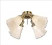 Hunter 26164BB 4-Light Flush Mount 240watt w/Square Frosted Glass Bright Brass