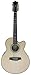 IBANEZ AEL4512LG 12 GARM^[