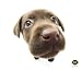 Clean Screen Cloth - Chocolate Lab