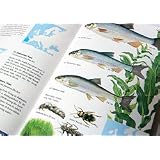 Freshwater Fish