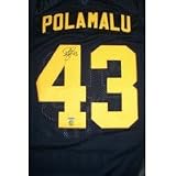 Troy Polamalu Autographed Authentic Third Steelers Jersey w/ UDA COA