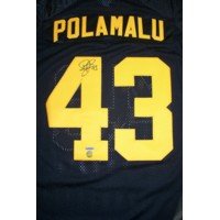 Troy Polamalu Autographed Authentic Third Steelers Jersey w/ UDA COA